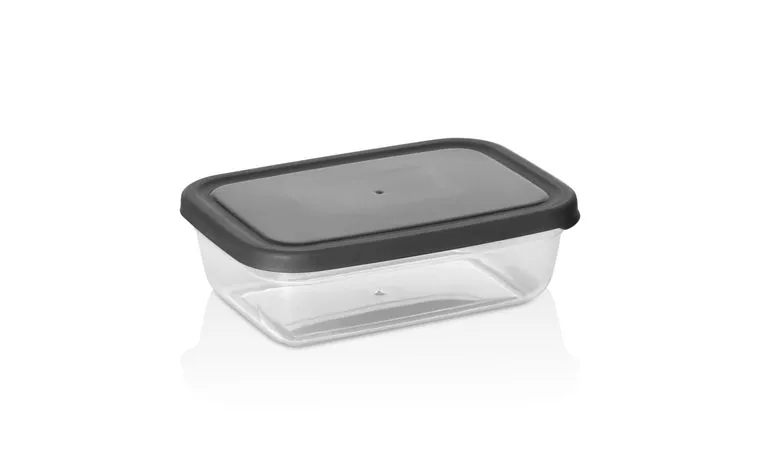 0.5 L MAYA COLORED RECTANGULAR STORAGE CONTAINER