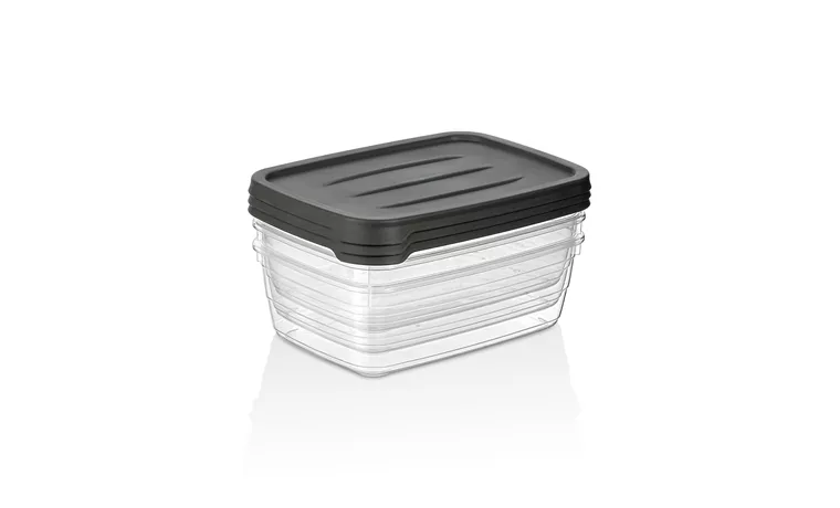 VETRA 300 ML FOOD STORAGE BOX SET OF 3