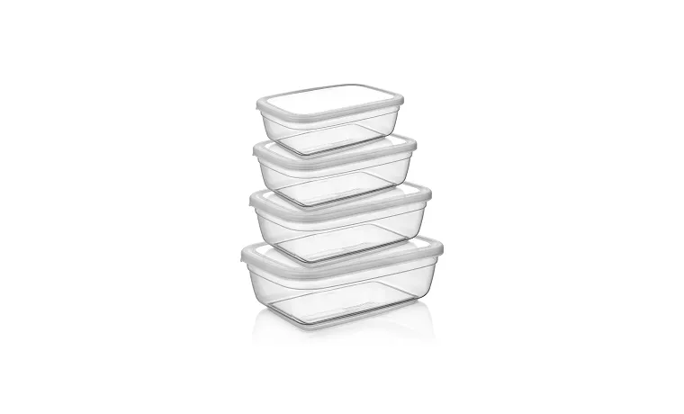 4 PIECE MAYA RECTANGULAR STORAGE CONTAINER SET